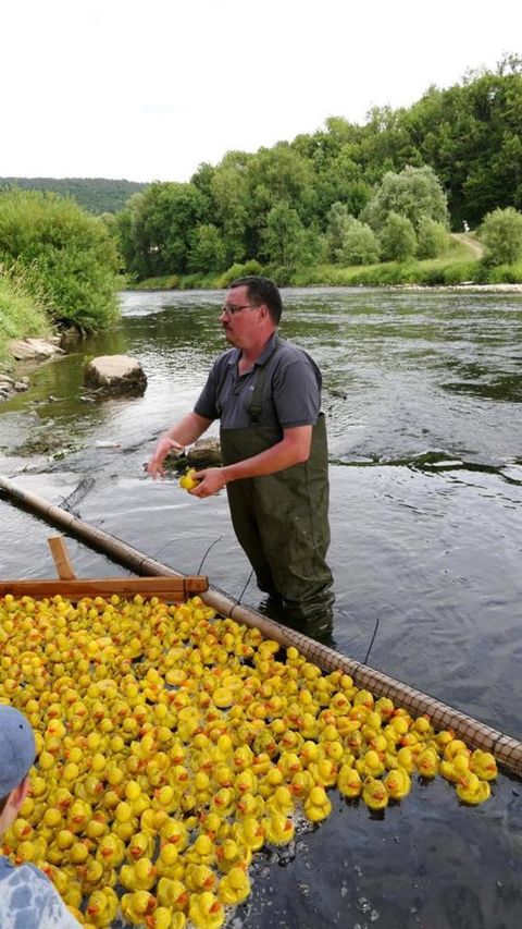 A man is standing in the water, and around him are many yellow rubber ducks. In the background, there are trees and a calm river visible.