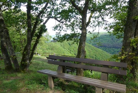 Eine einfache Bank steht im Grünen, umgeben von Bäumen. Im Hintergrund sind sanfte Hügel zu sehen.