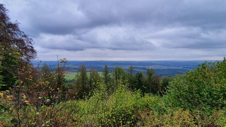 Ein Blick auf eine grüne Landschaft mit Bäumen und sanften Hügeln unter einem bewölkten Himmel. Die Umgebung vermittelt ein ruhiges, naturnahes Gefühl.