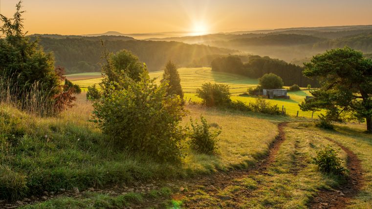 Sonnenuntergang über einer grünen Landschaft mit Hügeln und Bäumen in der Eifel.