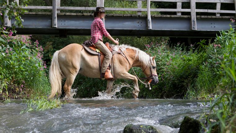 Eine Person reitet auf einem hellen Pferd durch einen kleinen Fluss. Im Hintergrund ist eine Holzbrücke und viel grüne Natur zu sehen.