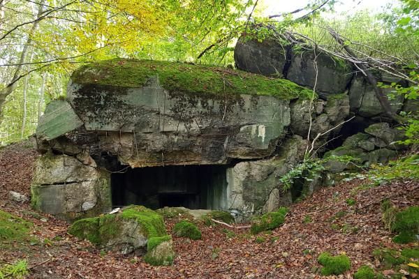 Eine alte, moosbedeckte Bunkerruine in einem bewaldeten Gebiet. Umgeben von grauen Steinen und herbstlichem Laub.