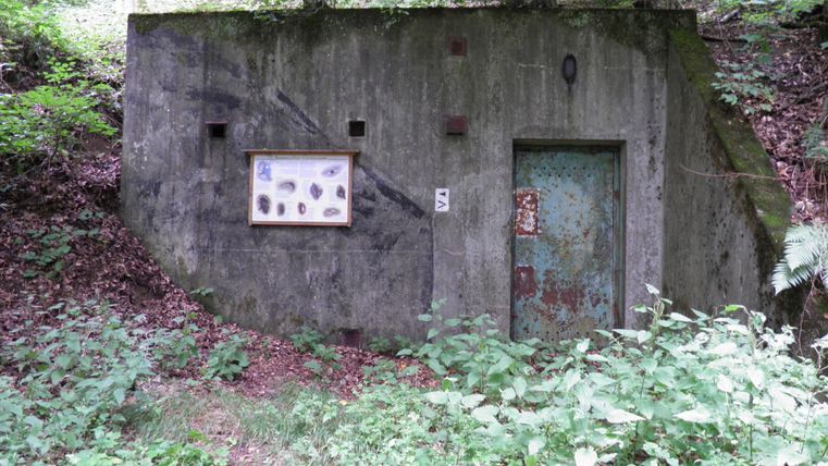 Ein Steinbunker auf dem Eulenweg dort  wohnen Fledermäuse 