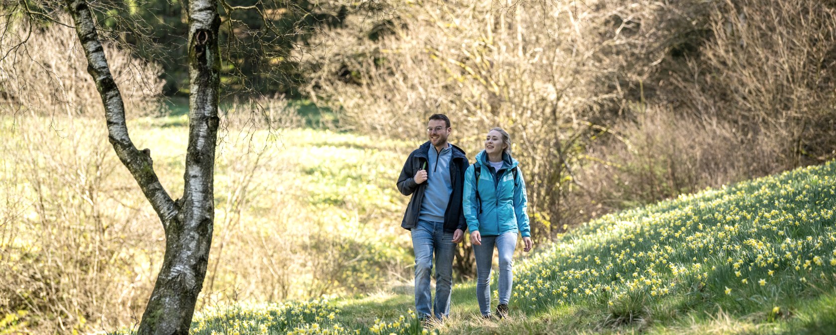 Wandern zu den Narzissen der Eifel, © Städteregion Aachen, Dominik Ketz