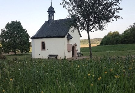 Chapelle Finten avec prairie fleurie, © Tourist-Information Wittlich Stadt & Land