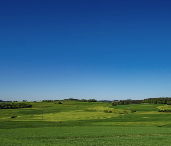 Vue sur les champs verts près de Herresbach, © Laura Rinneburger