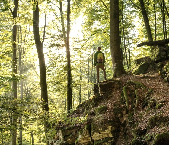 randonneur-dans-la-forêt-rocaille, © Eifel Tourismus GmbH, Dominik Ketz