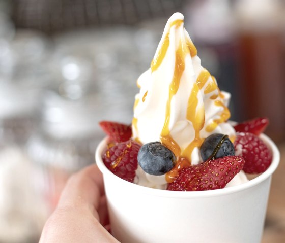 Diepvriesyoghurt 3, © Lemonpie Eventcatering