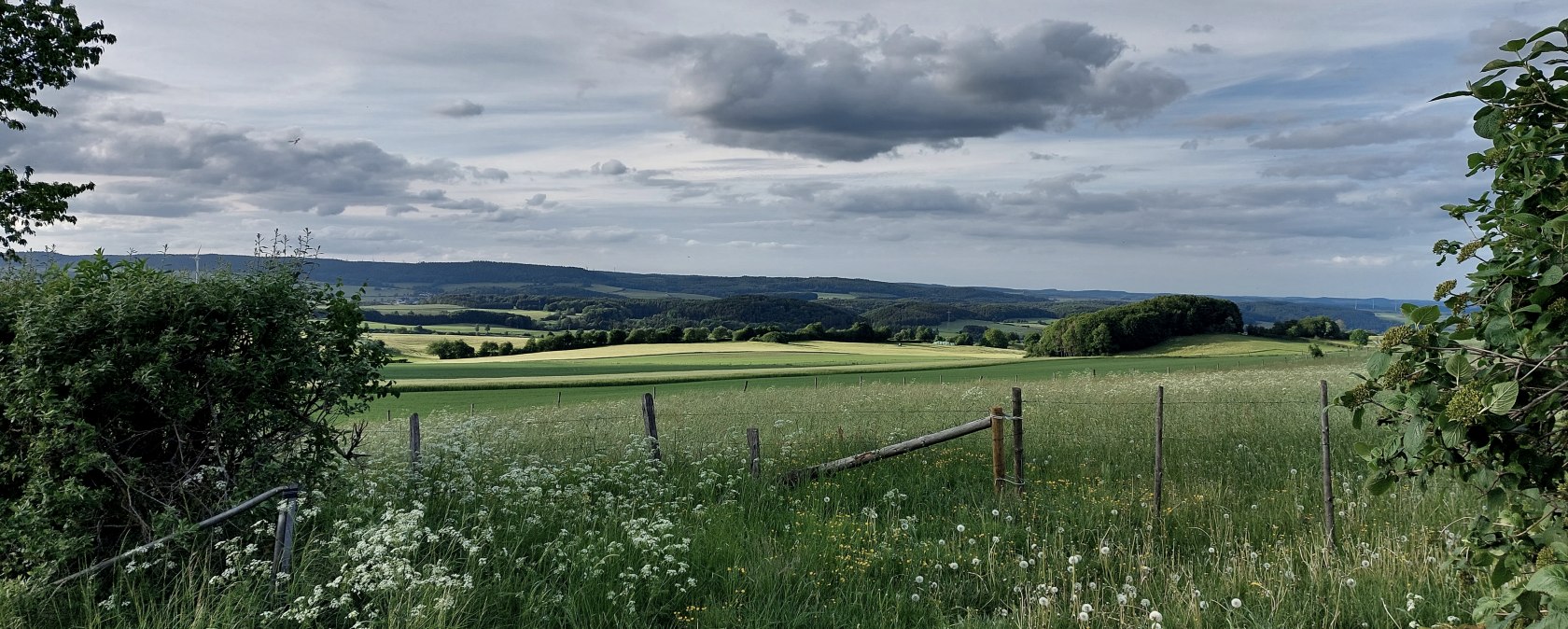 Vue du synclinal calcaire oriental de Büdesheim, © Tourist-Information Prümer Land Elke Dahm