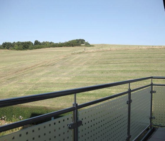 Fw_Balcony (2)