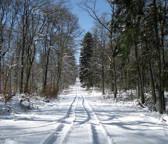 L'hiver à Lissendorf, © Gertrud Wieser