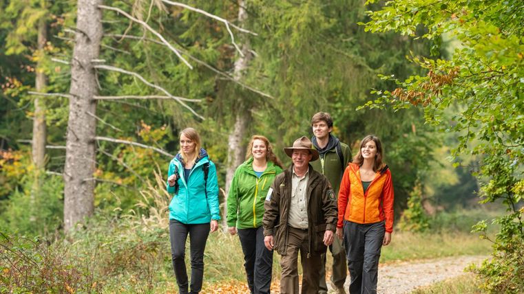 Un groupe de cinq personnes fait une randonnée sur un chemin forestier. Ils portent des vêtements de plein air et profitent de la nature.
