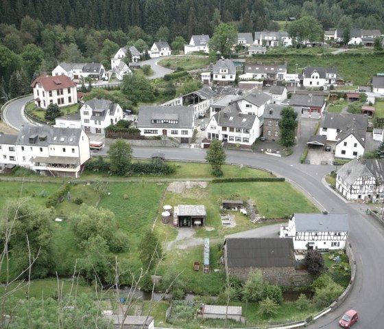 Virnebourg_1106_010