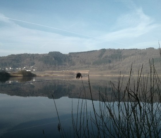 Das Meerfelder Maar, © GesundLand Vulkaneifel GmbH