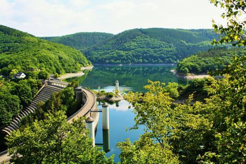 <p>You can see the dam from above. Surrounded by trees and sparkling water.</p>