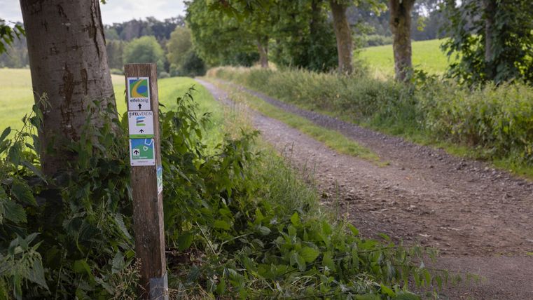 Wandelpad met wegwijzers in een landelijke omgeving.