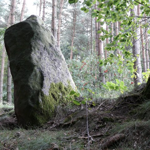 De Langenstein bij Holsthum, © Felsenland Südeifel Tourismus GmbH