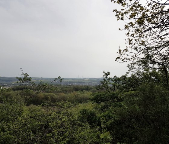 uitzicht-van-ettringer-bellerberg