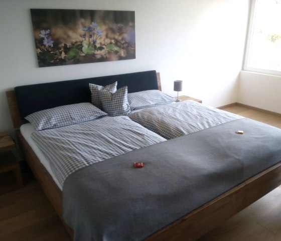 A good place to dream