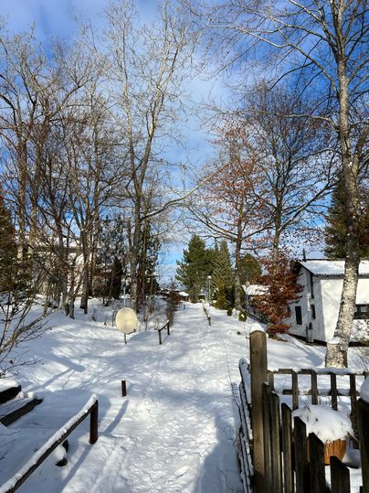 Ein verschneiter Weg zwischen Bäumen führt zu einem klaren Himmel. Auf beiden Seiten befinden sich Häuser und eine winterliche Landschaft.