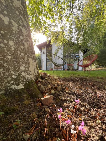 Ein gemütliches Haus mit großen Fenstern, umgeben von grüner Natur. Im Vordergrund blühen pinke Blumen am Boden.