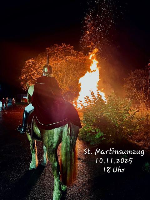 A rider in a costumed outfit sits on a horse in front of a large fire. In the background, trees and a nighttime scene can be seen.