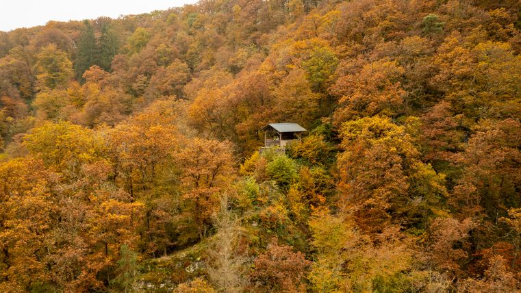Een hut torent uit boven een herfstbos met kleurrijk gebladerte.