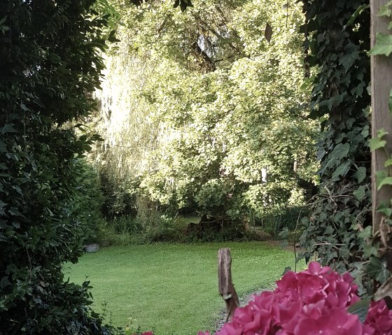 Blick von der Terrasse in den Garten, © Rainer Putz