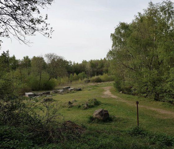 vue sur le champ de mines de Mayen