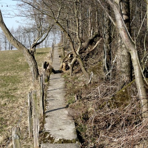 Forest path, © Monschau-Touristik