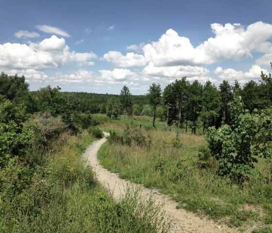 Sophienhöhe hiking trail, © Sophia Eckerle | Kreis Düren