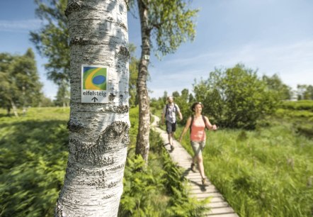 Wandeling op de Eifelsteig, © Eifel Tourismus GmbH - Dominik Ketz