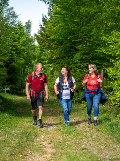 Three hikers are walking along a path through a green forest. They are carrying backpacks and enjoying nature.