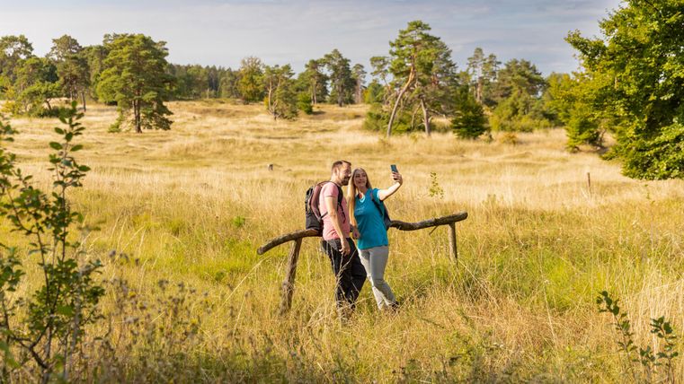Un couple prend un selfie dans un beau paysage ensoleillé. À l'arrière-plan, on peut voir des arbres verts et une vaste prairie.