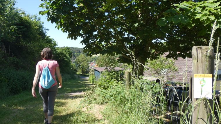 Person walks on a path with trees and a signpost.