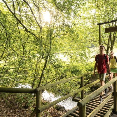 Beekpad in het NaturWanderPark delux, Ernst-brug over de beek Alfbach, © Eifel Tourismus GmbH, D. Ketz