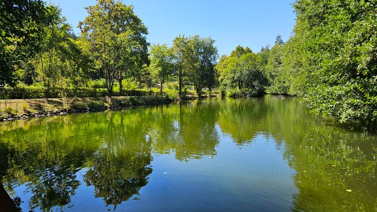 Un lac paisible entouré d'un vert luxuriant et d'arbres. Le ciel clair se reflète doucement dans l'eau.