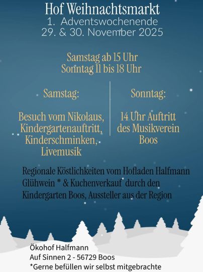 Ein einladender Weihnachtsmarkt in Boos mit festlicher Dekoration und einem schönen Hoff. Es werden regionale Köstlichkeiten und musikalische Unterhaltung angeboten.