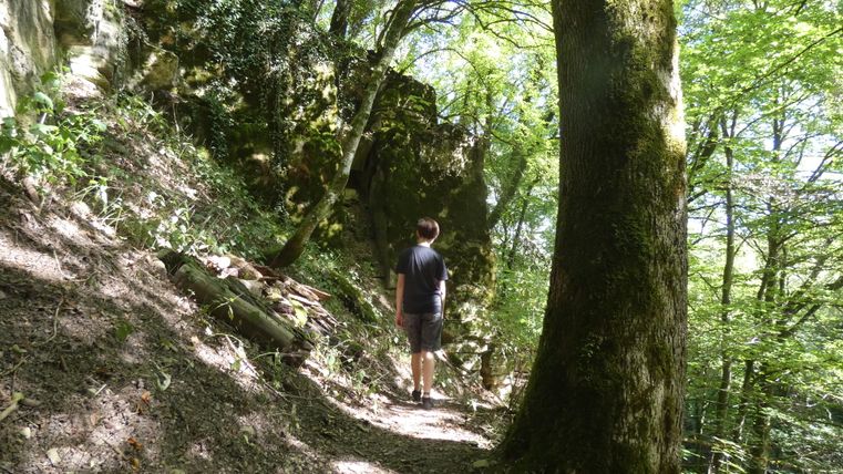 Een persoon loopt over een bospad langs een rotswand.