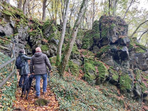A couple stands on a hiking trail in a forest with moss-covered rocks. Leaves and green plants surround the scene.