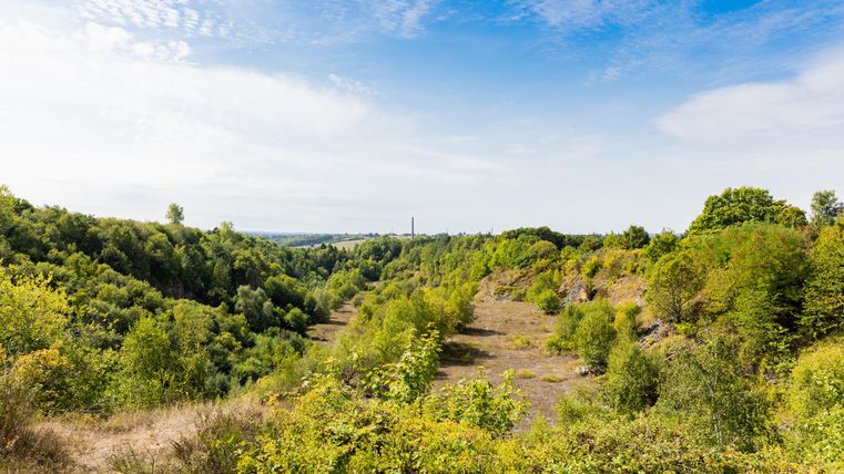 Un paysage vert avec des collines douces et de nombreux arbres. Le ciel est partiellement nuageux et l'atmosphère semble calme et paisible.