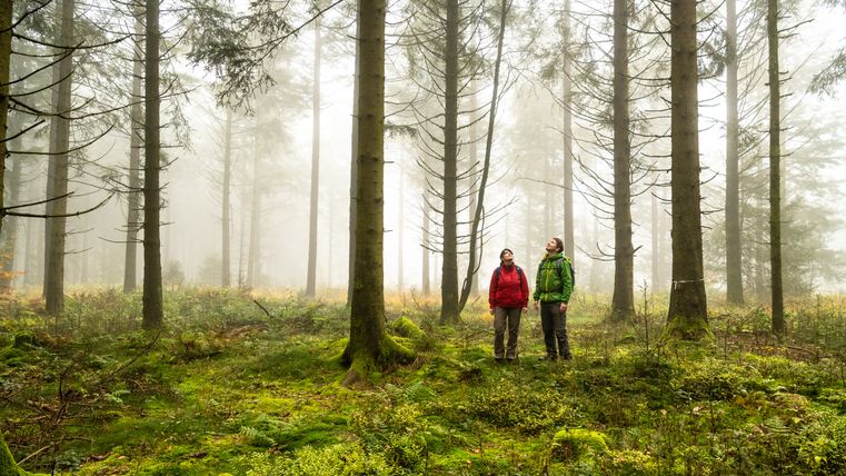Deux personnes dans la forêt brumeuse sur le sentier des marais Schneifel.