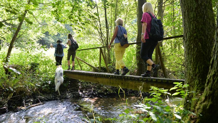 Vier Wandernde mit Rucksäcken überqueren gemeinsam mit einem weißen Hund eine schmale Holzbrücke über einen Bach in einem grünen, sonnendurchfluteten Wald.