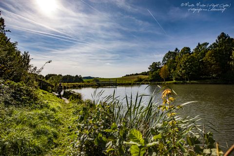 Le lac de barrage de Gerolstein s'étend devant nous, entouré de forêts et de prairies. Le ciel est bleu et le soleil brille à travers quelques nuages.