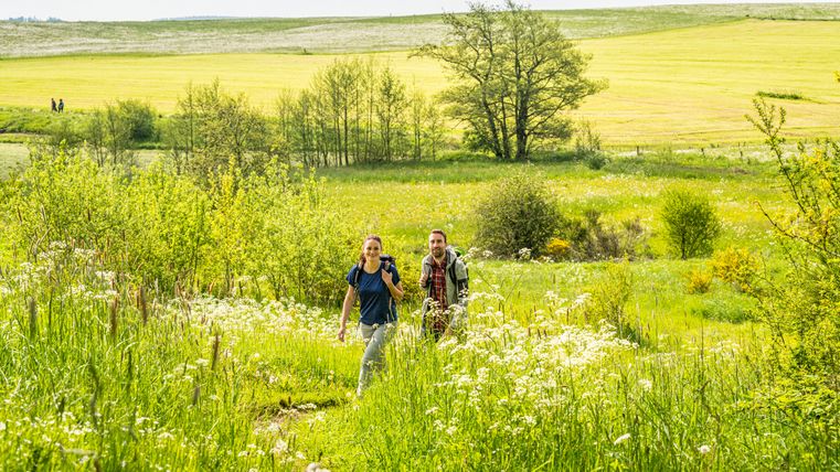 Blühende grüne Wiesen und weite Landschaften. Mitten darin zwei Wanderer auf dem Weg.