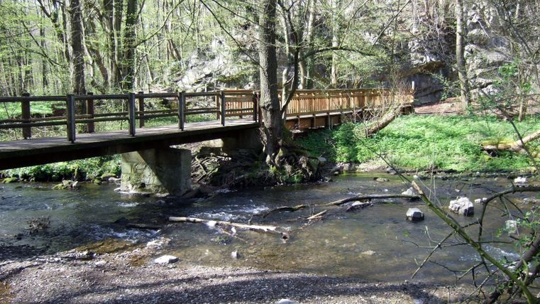 Pont en bois sur un ruisseau dans une zone forestière.