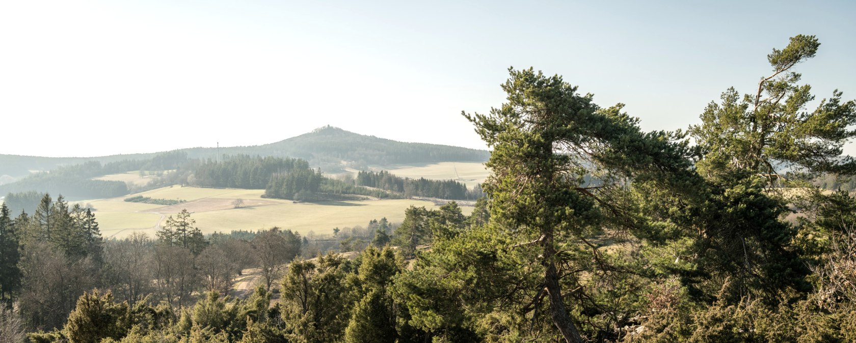 View of the Eifel and junipers on the Bergheidenweg dream trail, © Eifel Tourismus GmbH, D. Ketz