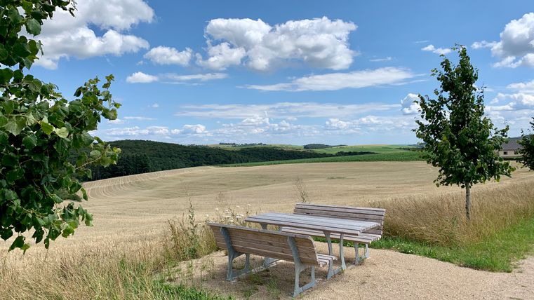 A wooden seating area with a view of the dry fields and woodland
