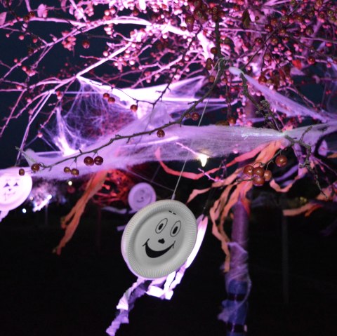 STRANDKULTUR bei Nacht – Halloween-Edition, © Seepark Zülpich