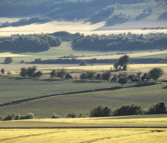 Paysage, © Kappest